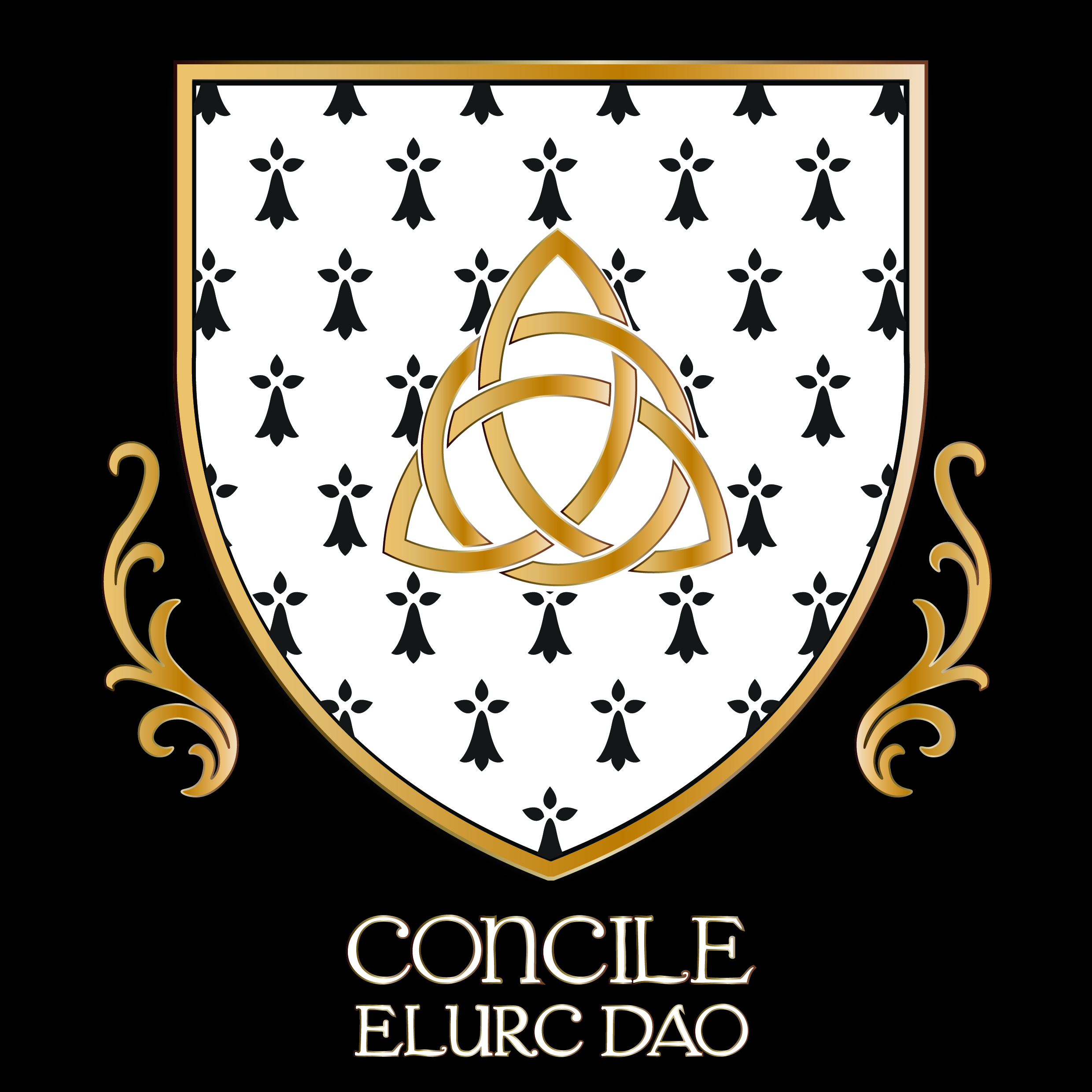 Badge Concile